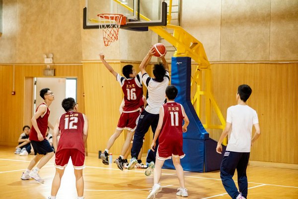 Musculation : Série longue ou courte – Quelle est la meilleure option?